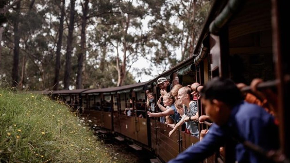 Kids and adults will love riding the oldest steam train in Australia! Image credits: @puffingbillyrailway on Instagram
