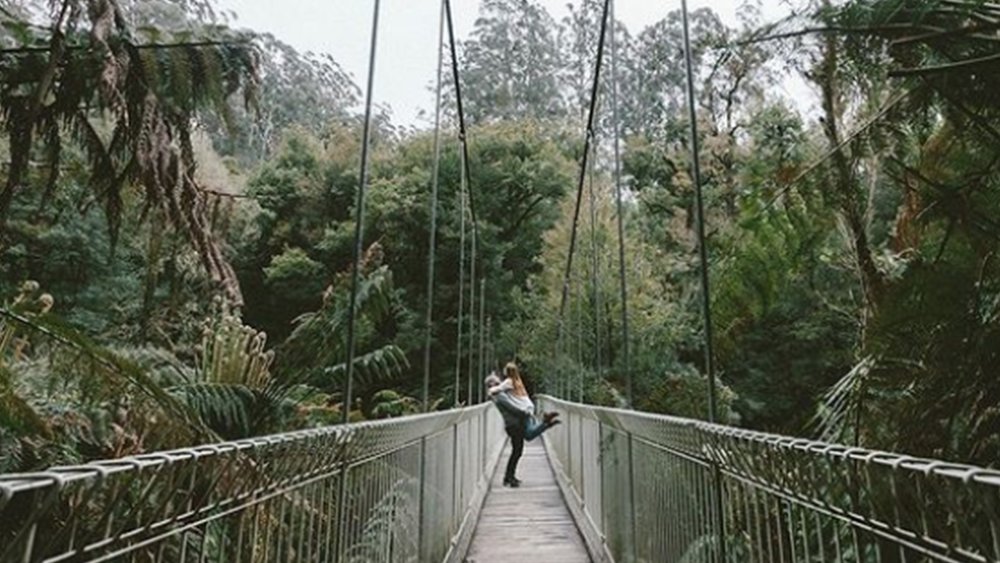 Cross bridges and enjoy the view along the way. Image credits: @handzaround on Instagram