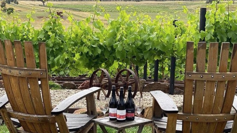 Try Bendigo’s culinary treats for yourself. Image credits: @explorebendigo on Instagram