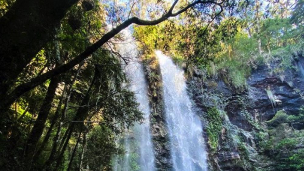 Uncover the park’s hidden gems with a leisurely hike. Image credits: @steffiuer on Instagram