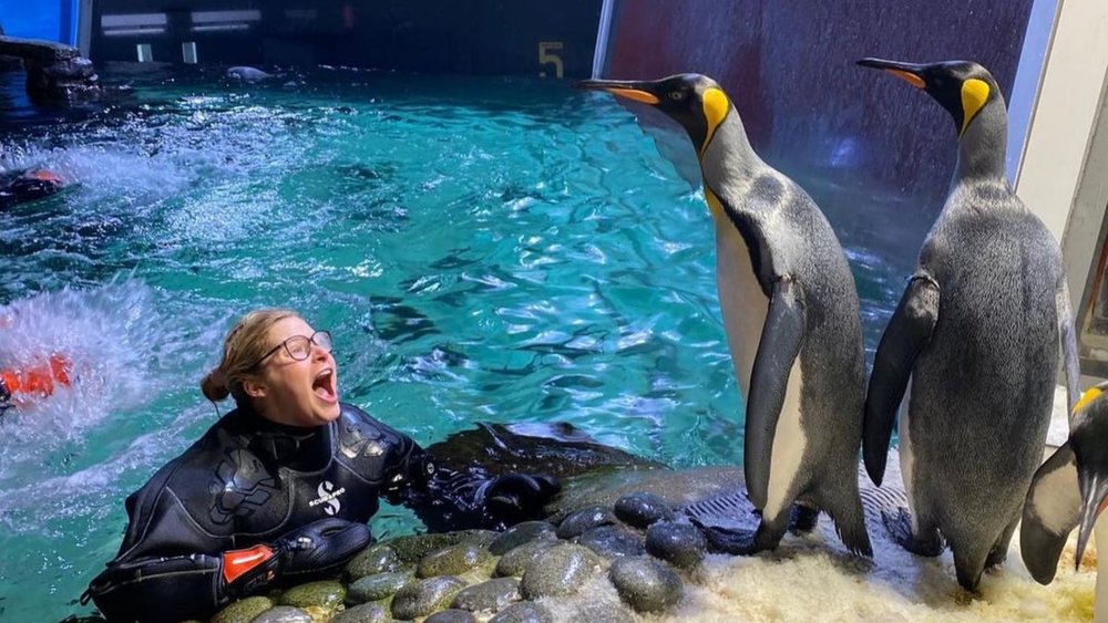 Discover what wonders marine life has to offer at SEA LIFE Melbourne Aquarium! Image credits @sealifemelbourneaquarium on Instagram
