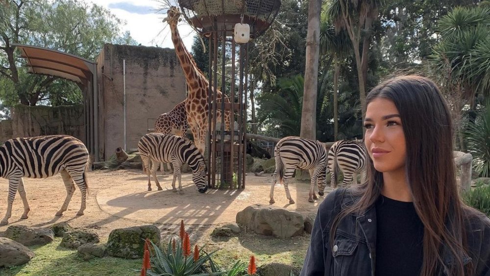 More wildlife awaits you at Melbourne Zoo! Image credits: @jaydakoludrovic on Instagram