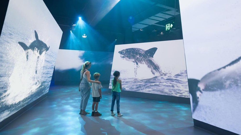 Learn all about the Southern Ocean and Antarctica at Antarctic Journey. Image credits: @phillipislandnp on Instagram