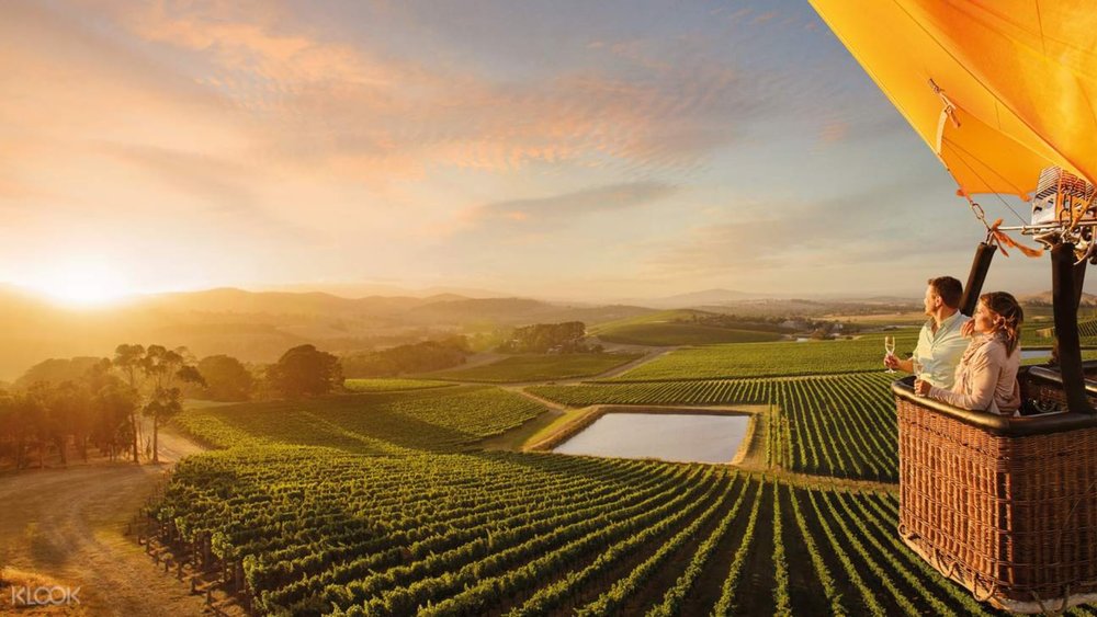 Enjoy the panoramic view of Yarra Valley on this magical hot air balloon ride