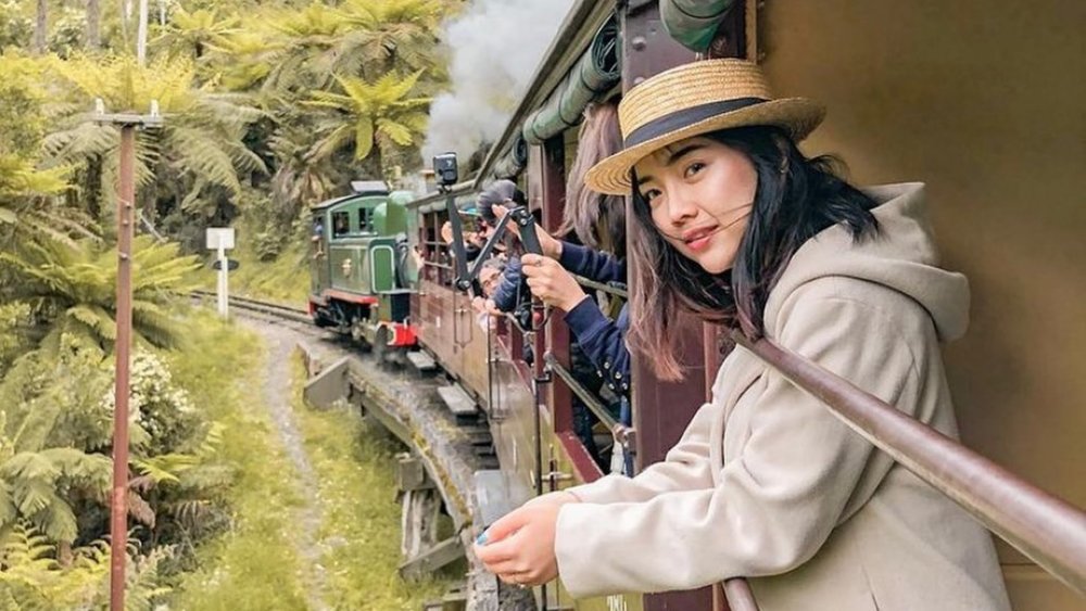 Ride through the rainforest with the Puffing Billy Railway. Image credits: @vegadelaga on Instagram