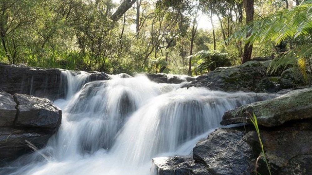 Chase waterfalls and enjoy fantastic views with the entire family Image credits : @araluenbotanicpark on Instagram