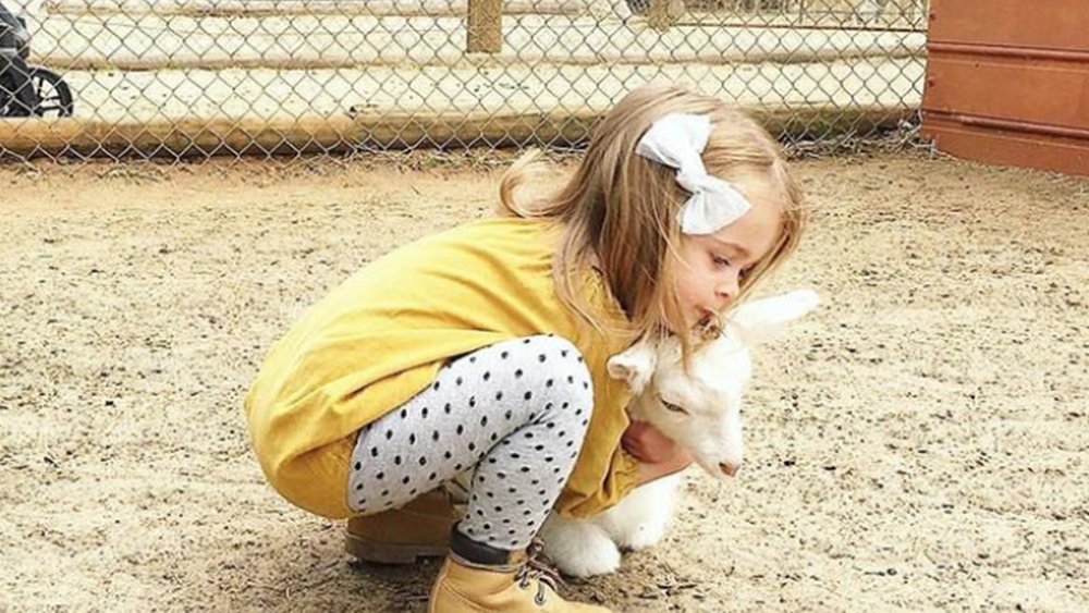 Take adorable pics with the equally adorable animals at the farm Image credits : @zuri_moon on Instagram