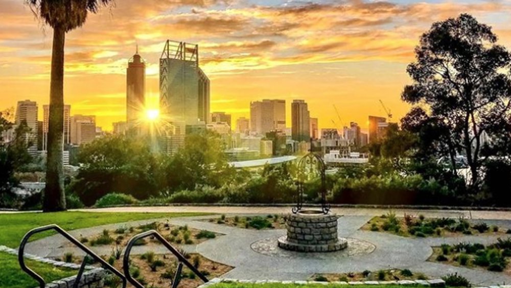 The entire fam will enjoy the trails and views at Kings Park Image credits : @shahbaz_9 on Instagram