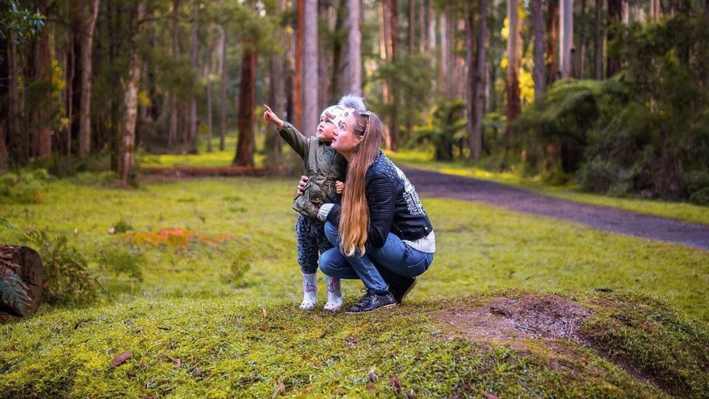  Explore local flora at Dandenong Ranges National Park! Credits: @sveta_in_ozzland