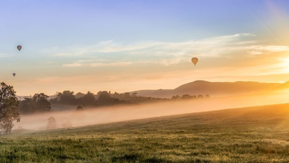 A ride over Yarra Valley is one for the nature lovers