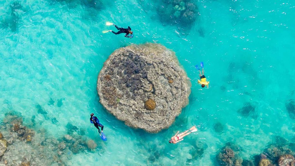 See coral reefs, fish, and other marine animals with the entire fam!