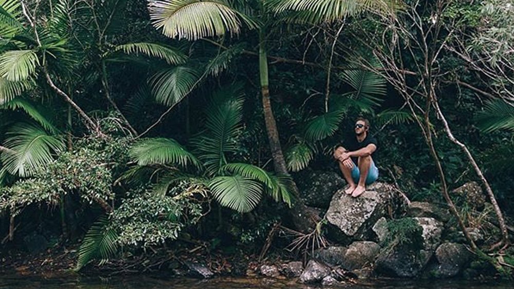 Discover flora and fauna at Conway National Park. Image credits: @queensland on Instagram