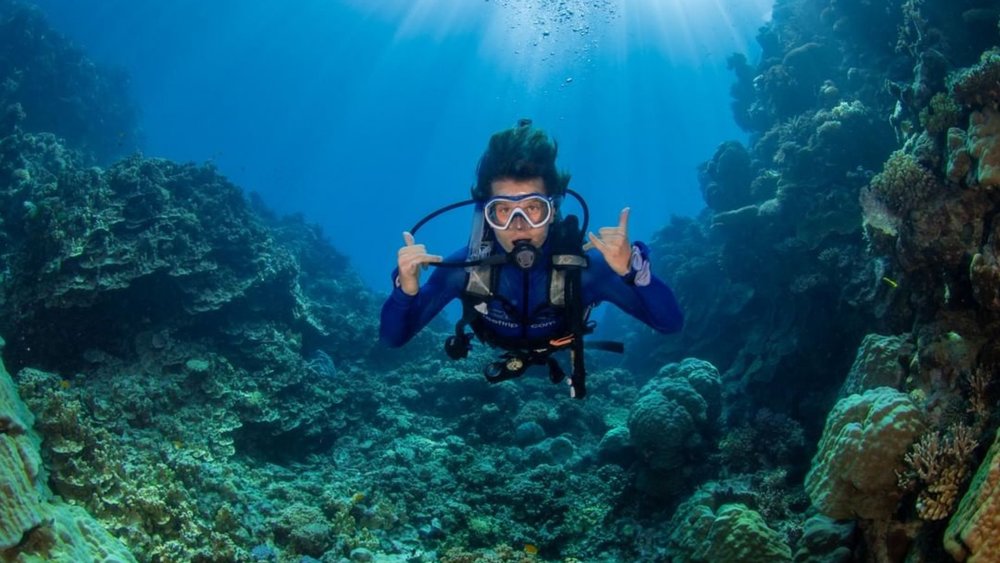 Explore the Great Barrier Reef! Image Credits: @greatbarrierreefaustralia