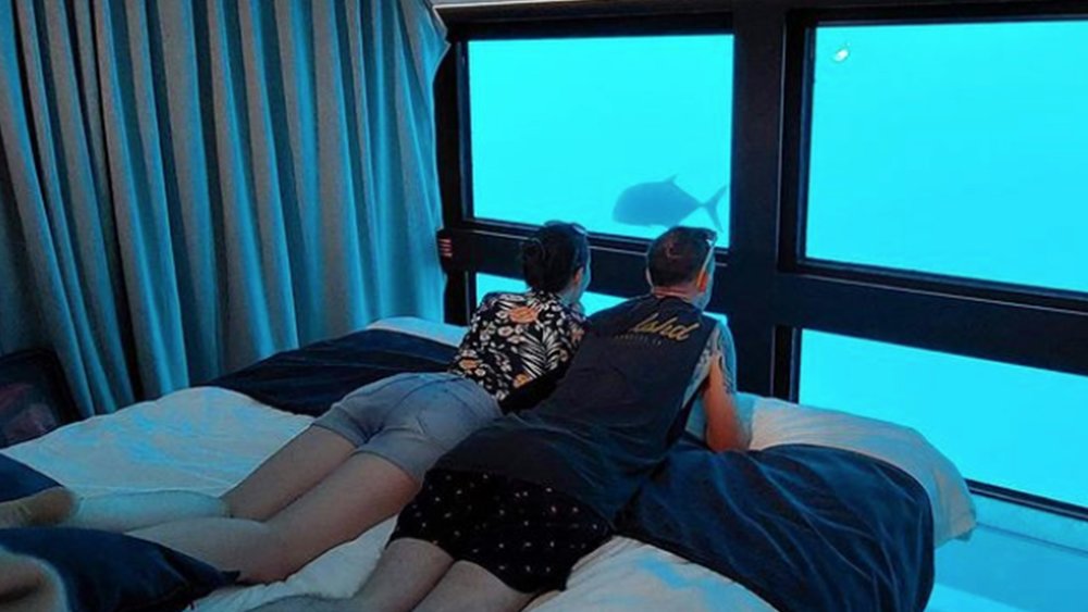 Feel as if you’re under the sea with Reefsuites! Image credits: @the.wanderlust.pair 