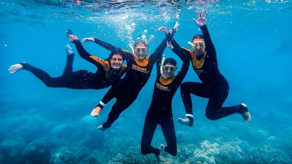 There’s a lot for you to see underwater! Image credits: @holliejwarner from @wings.com.au