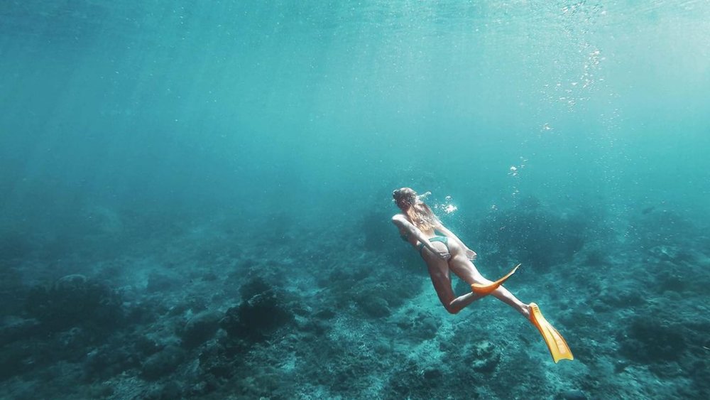 The magnificent Great Barrier Reef calls you. Image credits: @loveandemma