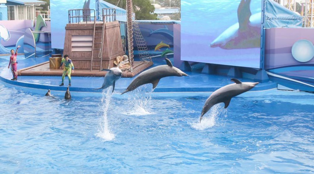 ocean park 海洋公園 門票優惠