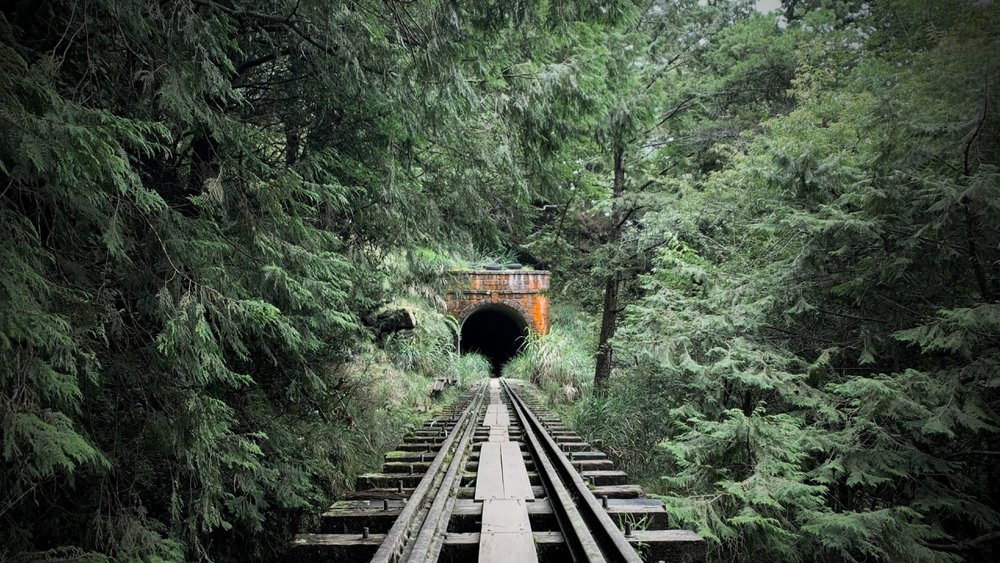 嘉義景點嘉義一日遊阿里山眠月線