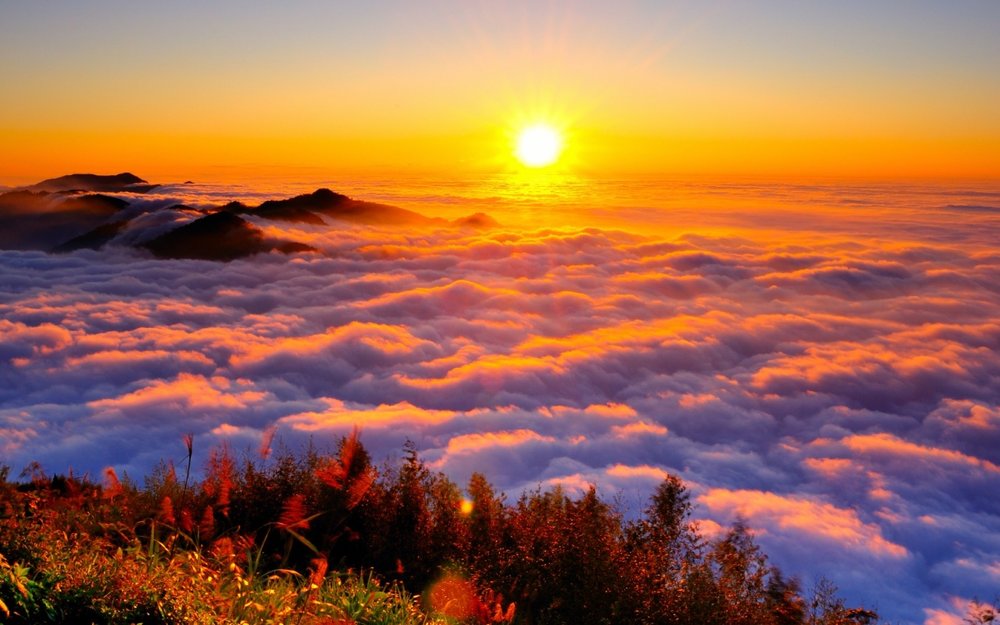 嘉義一日遊阿里山雲海二延平步道