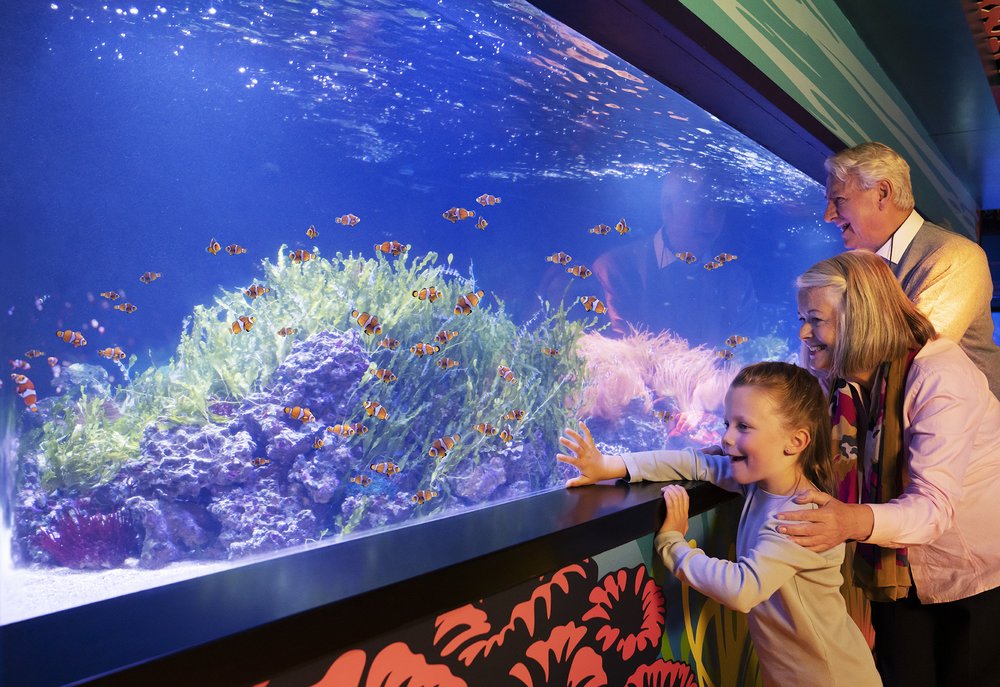 A family watching fish at the Sea Life London Aquarium