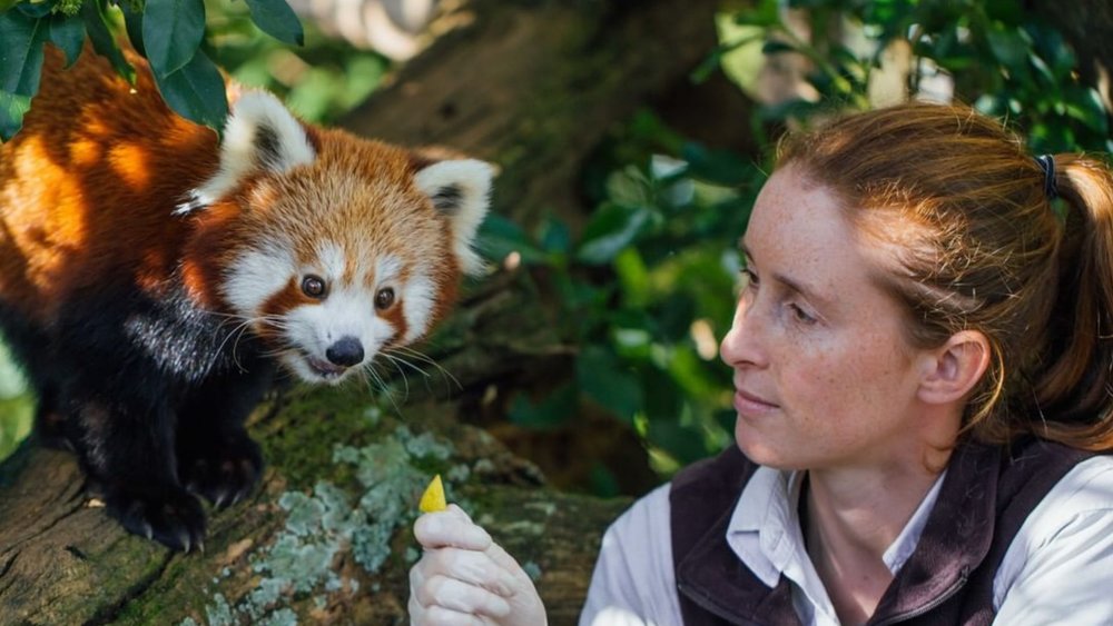 From marine to terrestrial to avian animals—Auckland Zoo has them all! Image credits: @aucklandzoo on Instagram