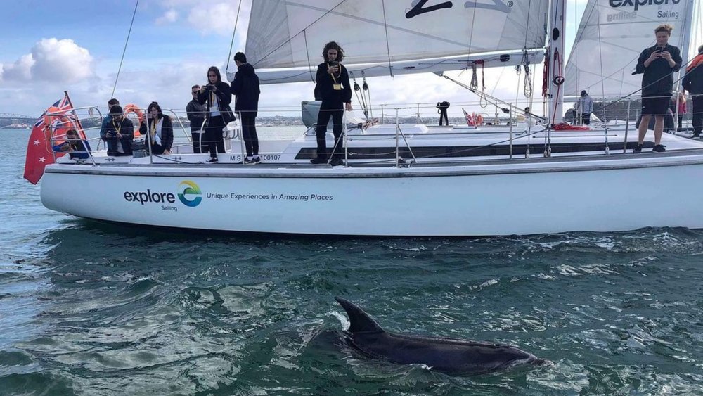 Explore the waters of Auckland’s harbour (and maybe see a dolphin or two! Image credits: @exploresailing on Instagram