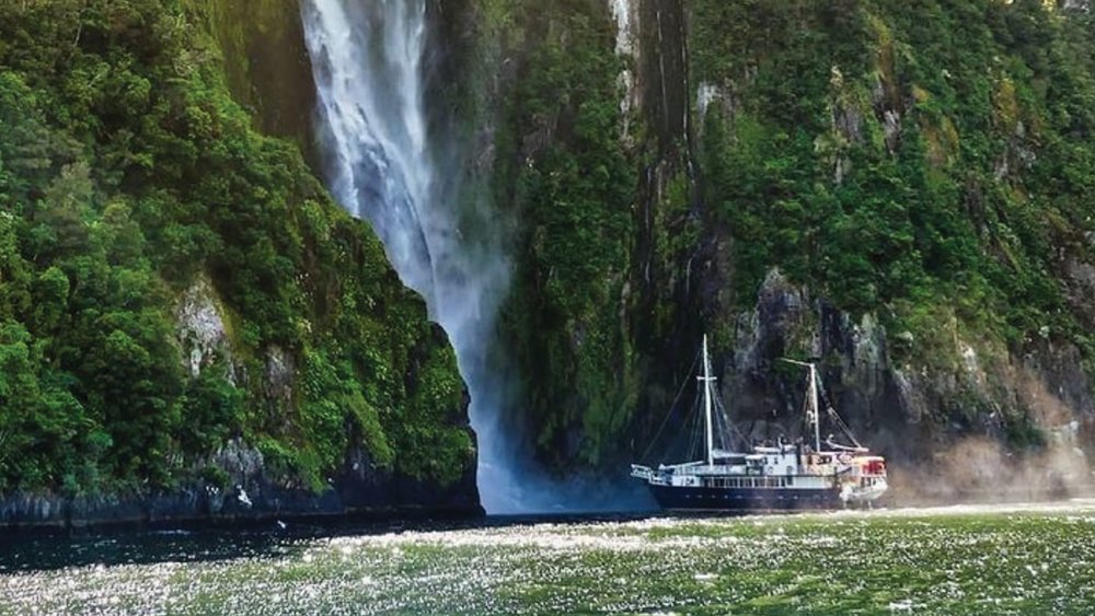 Milford Sound is one of NZ’s must-visit destinations. Credit: @greatsightsnz
