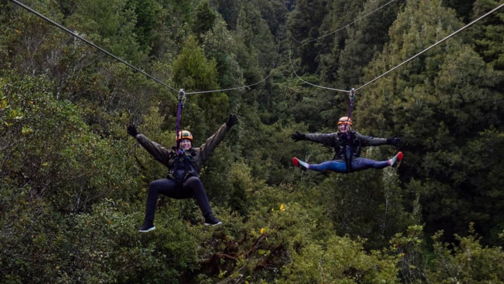 Zipline for up to 1,200 metres on the Rotorua Zipline and Canopy Tours! Image credits @rotoruacanopytours on Instagram