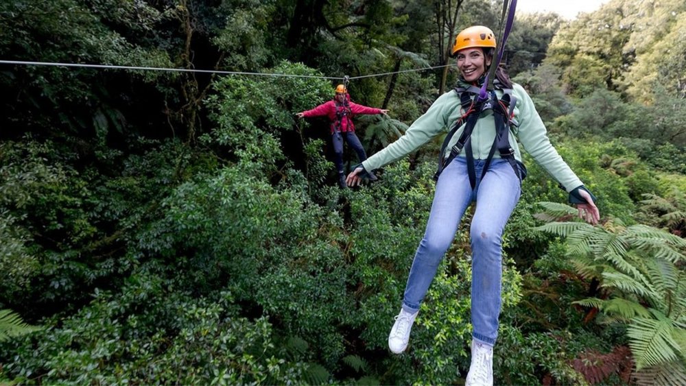 For only $159, you can go on one of the best nature activities in the world! Image credits @rotoruacanopytours on Instagram