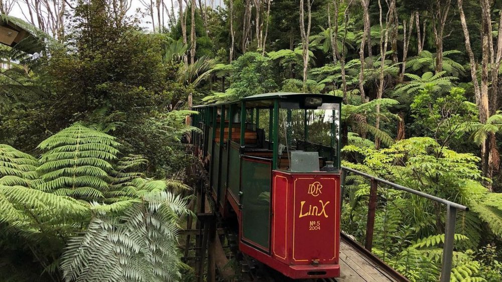 Don’t miss the chance to ride the Driving Creek Railway! Image credits: @drivingcreekrailway
