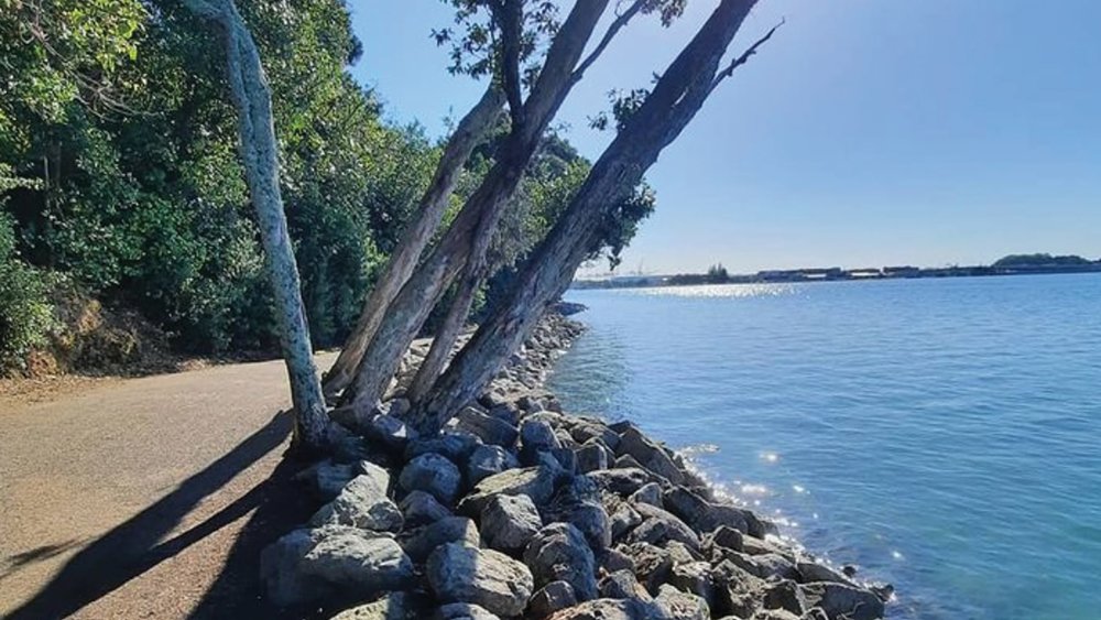 Go on a relaxing bike ride to discover the city’s hidden gems. Credit: @wendylelehenny