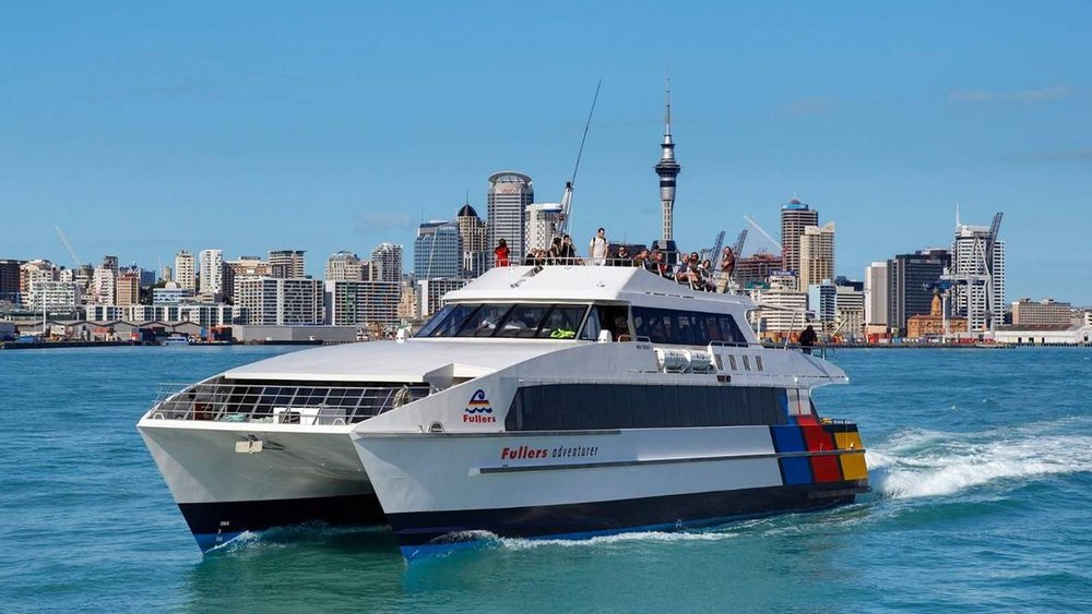 Enjoy the view as you travel from Auckland to Tiritiri Matangi Island