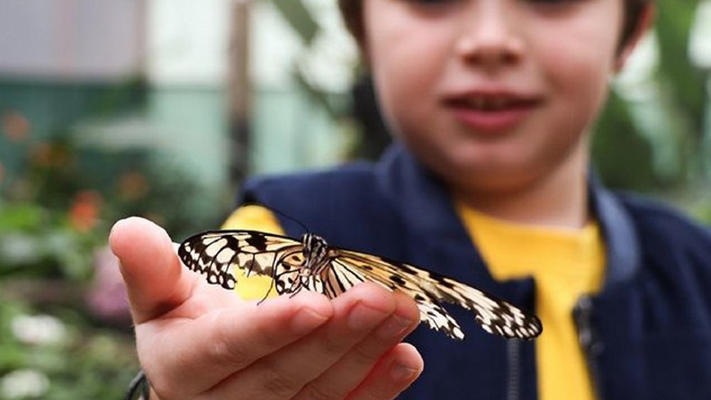Kids will enjoy having close encounters with different animals. Credit: @butterflycreek on Instagram 