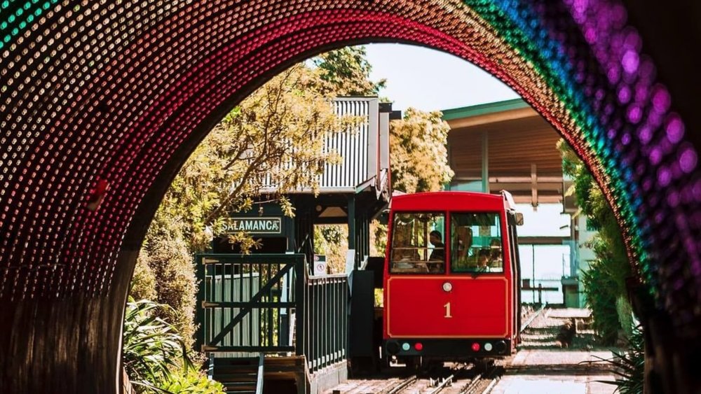 Enjoy the Tunnel Lights Display aboard the Wellington Cable Car. Image credits: @rosa.stuff from @wellingtonnz