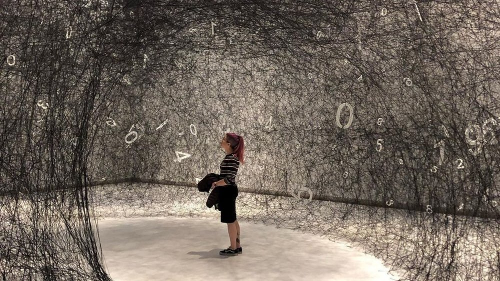 Great exhibitions await at Te Papa. Image credits: @david_zebedee 