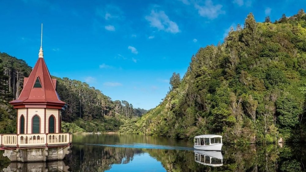 Visit ZEALANDIA Ecosanctuary and meet the famed Kiwi bird! Image credits: @visit_zealandia