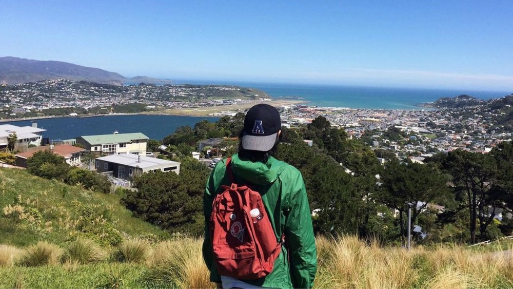 Experience amazing views at Mount Victoria Lookout! Image credits: @flamingpeanut
