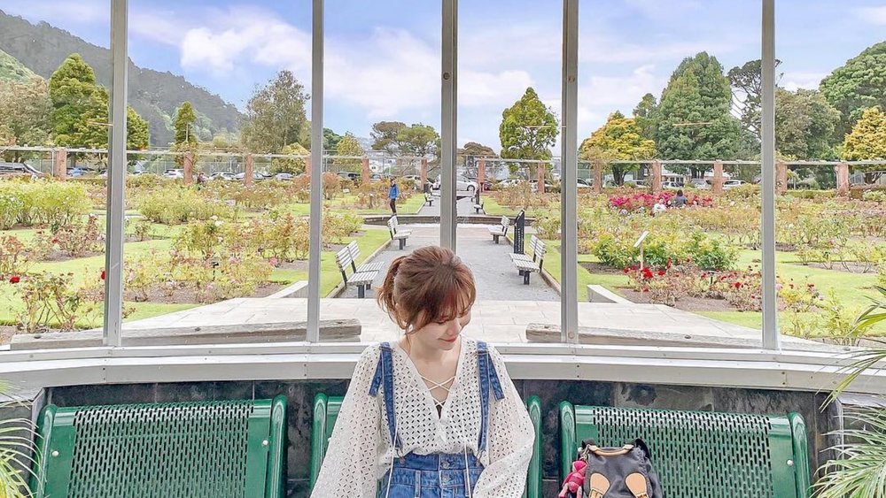 Wander along the rose garden at Wellington Botanic Gardens! Image credits: @m181211