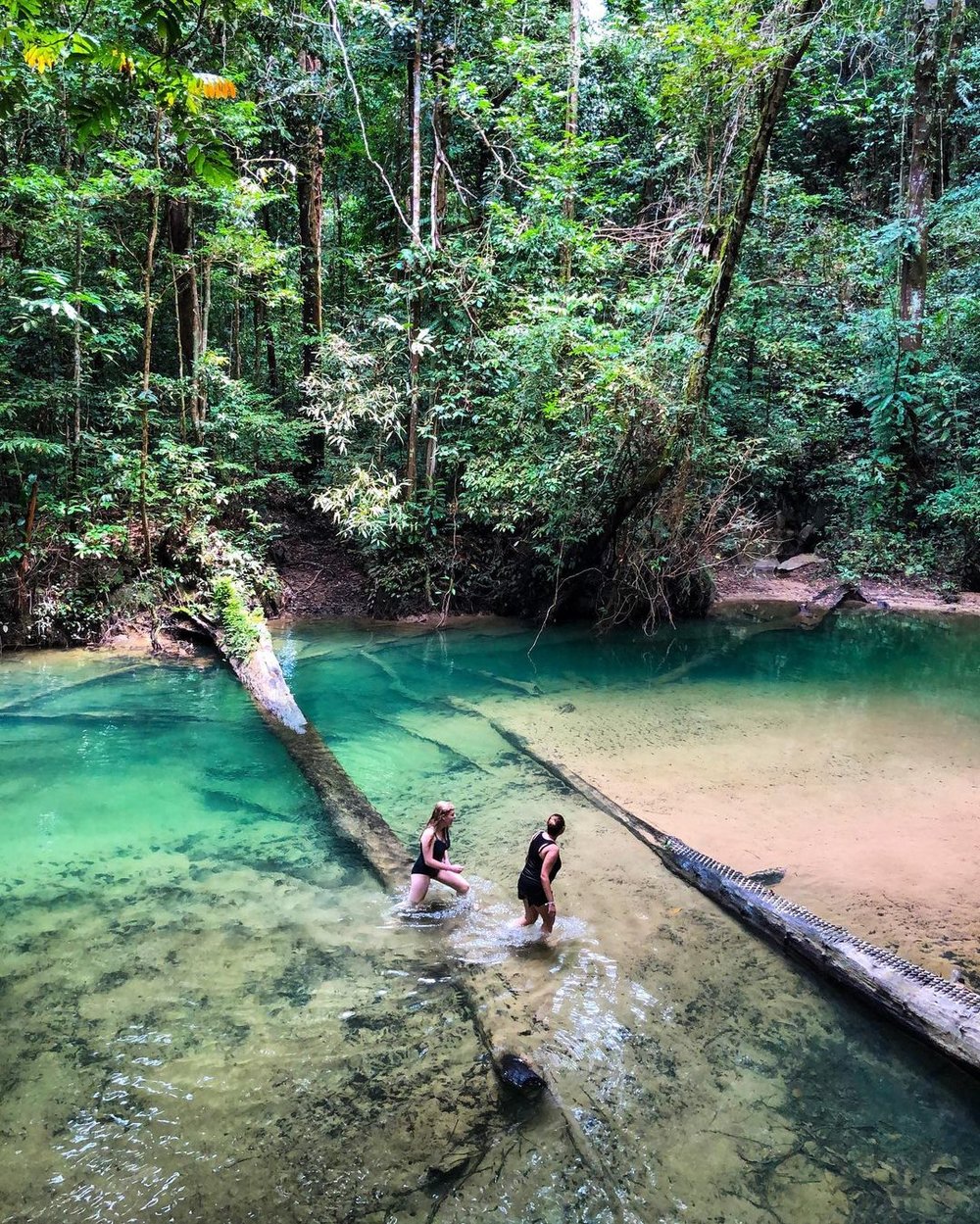 Gunung Mulu National Park