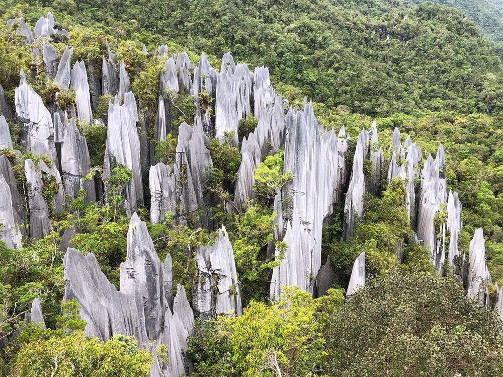 Gunung Mulu National Park