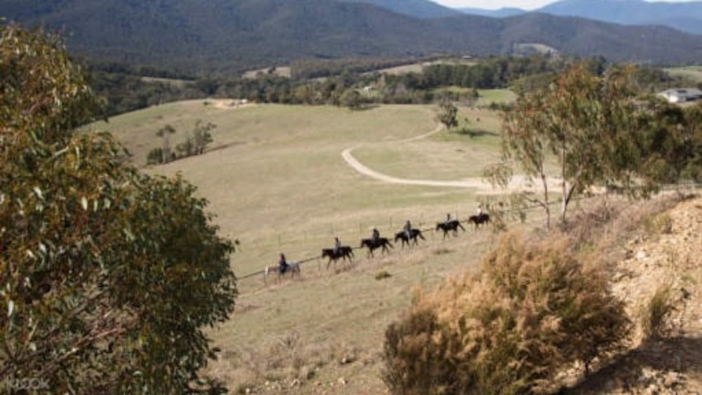 Explore Yarra Valley and Australia’s Great Dividing Range the best way possible: on a mighty steed