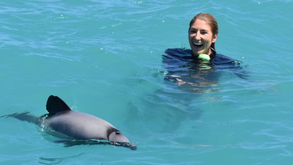 Get up close with Hector’s dolphins! Image credits: @blackcatcruises