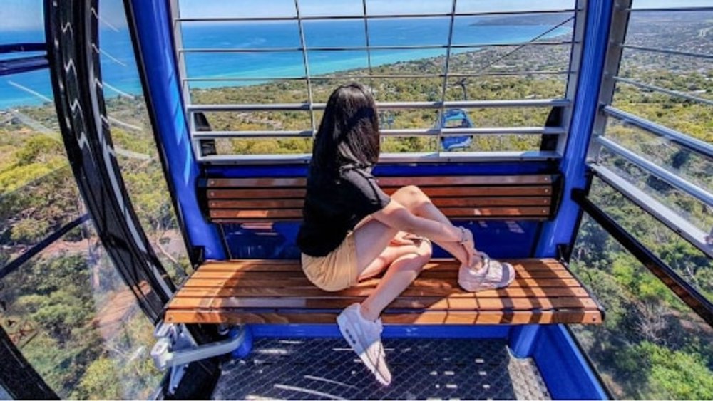 Enjoy the spectacular sights from Arthurs Seat Eagle Gondola! Image credits @arthursseateagle on Instagram