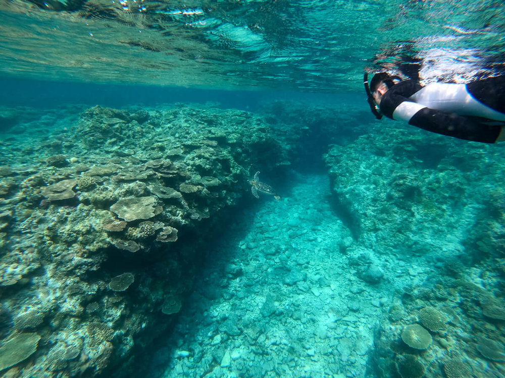 慶良間シュノーケリング