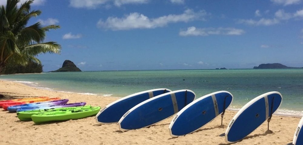 surf boards lined up at Kualoa Ranch