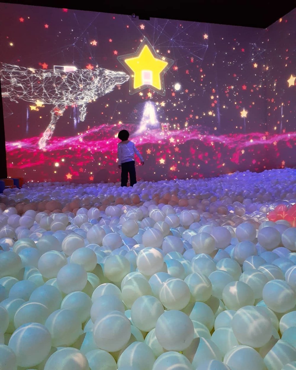 Photo: @su.kato811 (Instagram)