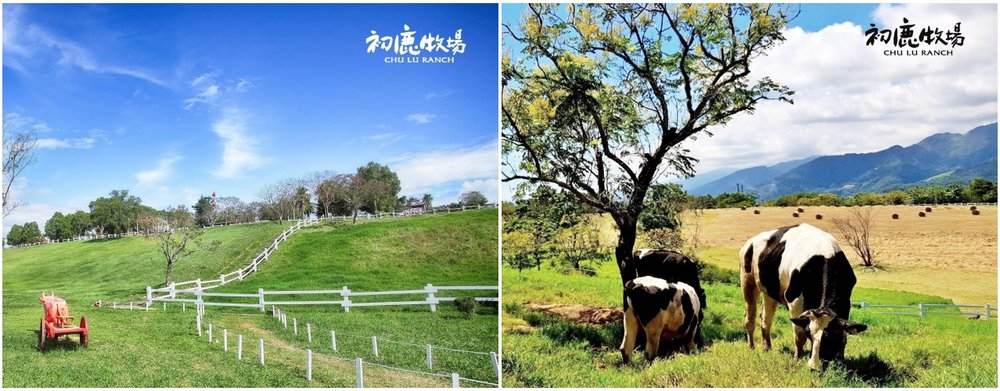 台灣農場：台東初鹿牧場