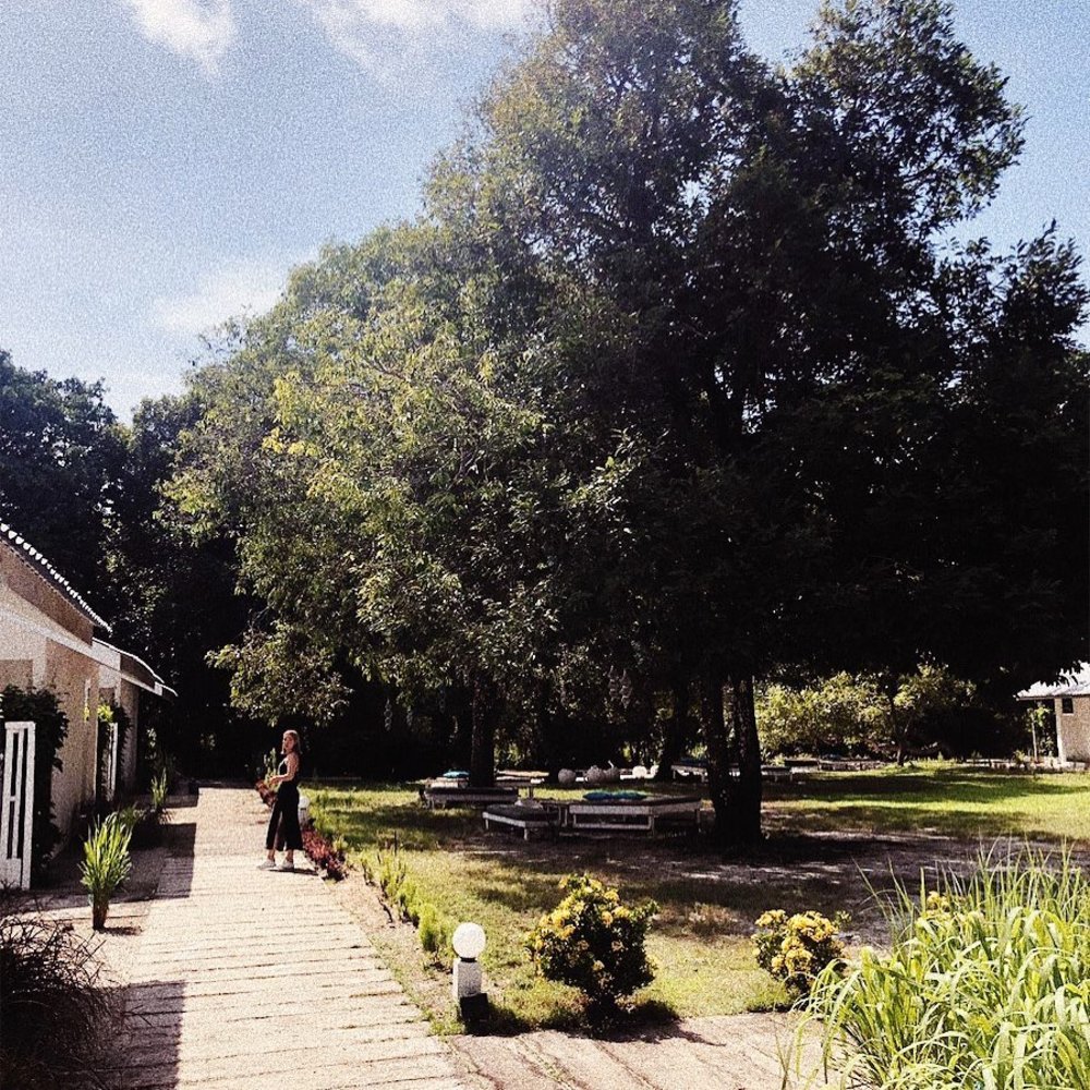 langkawi best restaurant dinner fat cupid