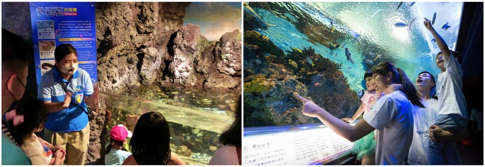 遠雄海洋公園設施：水族館