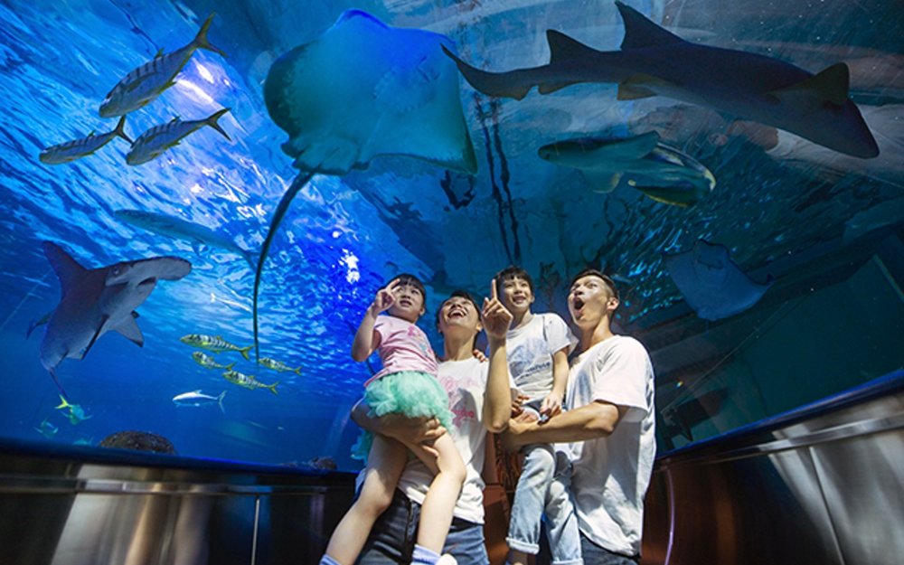 花蓮景點推薦：遠雄海洋公園海底隧道